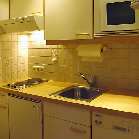 In Dienten With Ski-in Access & Sauna Apartmán