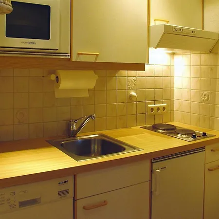 Apartmán In Dienten With Ski-in Access & Sauna